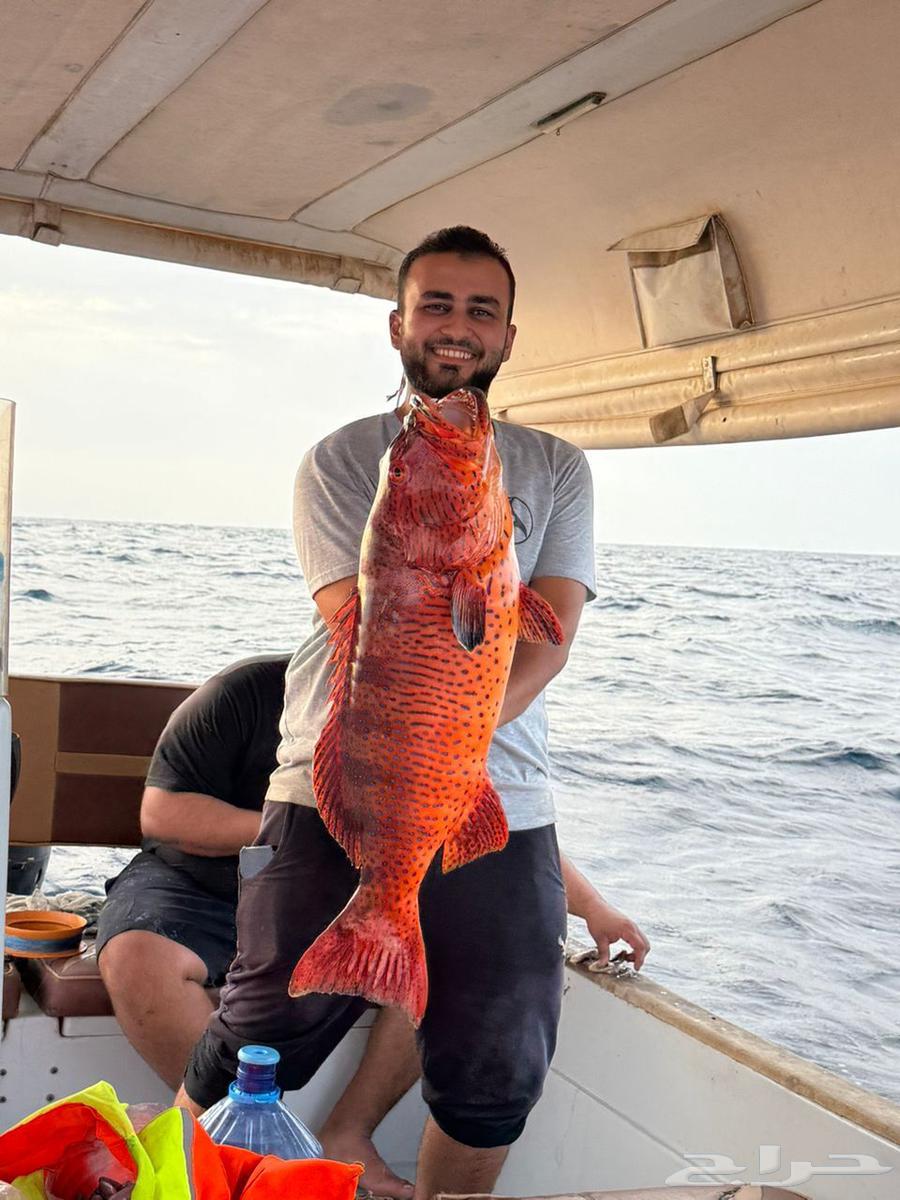 Private 8+ Hour Boat Trip for Adventure and Relaxation64452766408705110