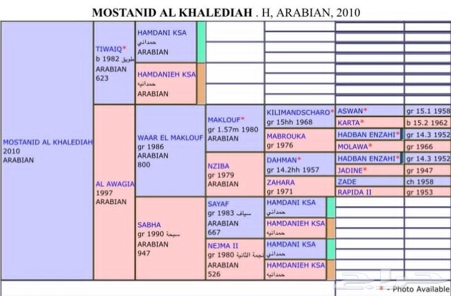 مهره واهو جزيريه64452984000513110