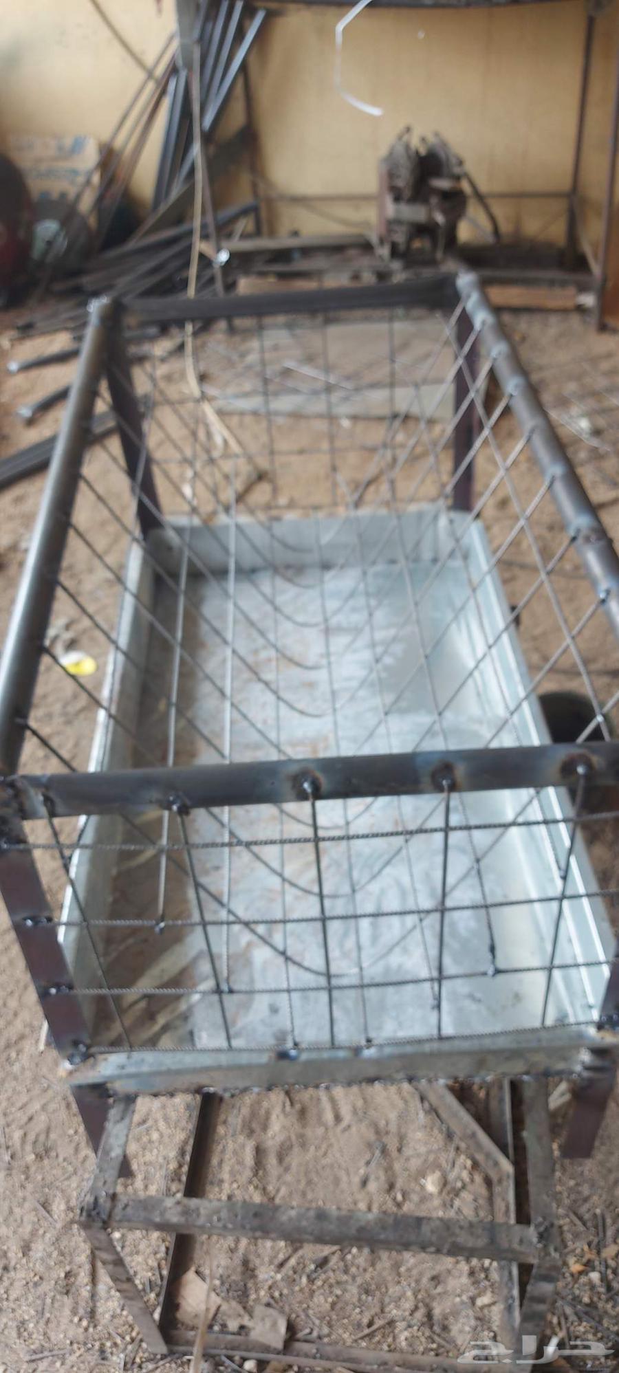 Sheep File 1 6064461282332801110