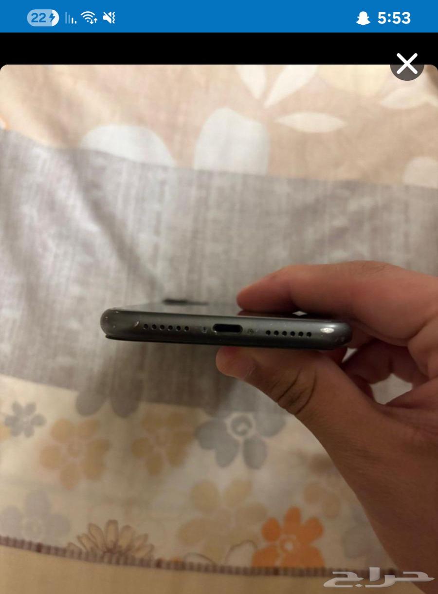 iPhone 11 Regular64461787331586112