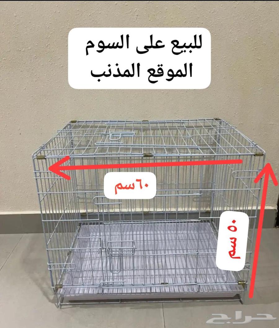 للبيع شبك نظيف64460188012033110