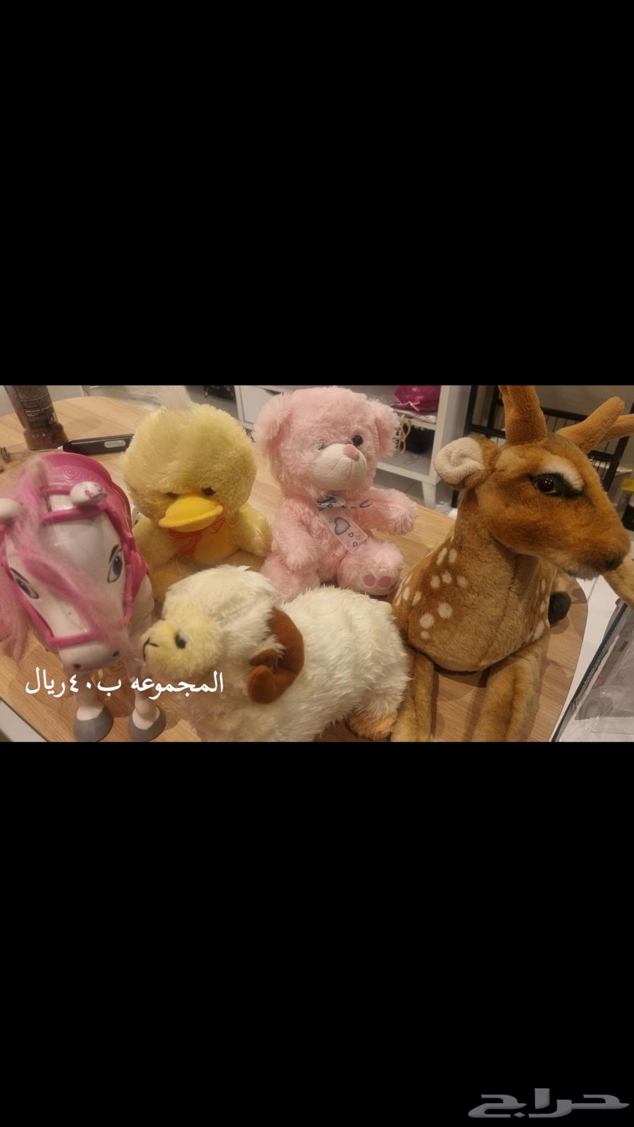 مجموعة دببه للبيع بحاله ممتازه64463020002177112