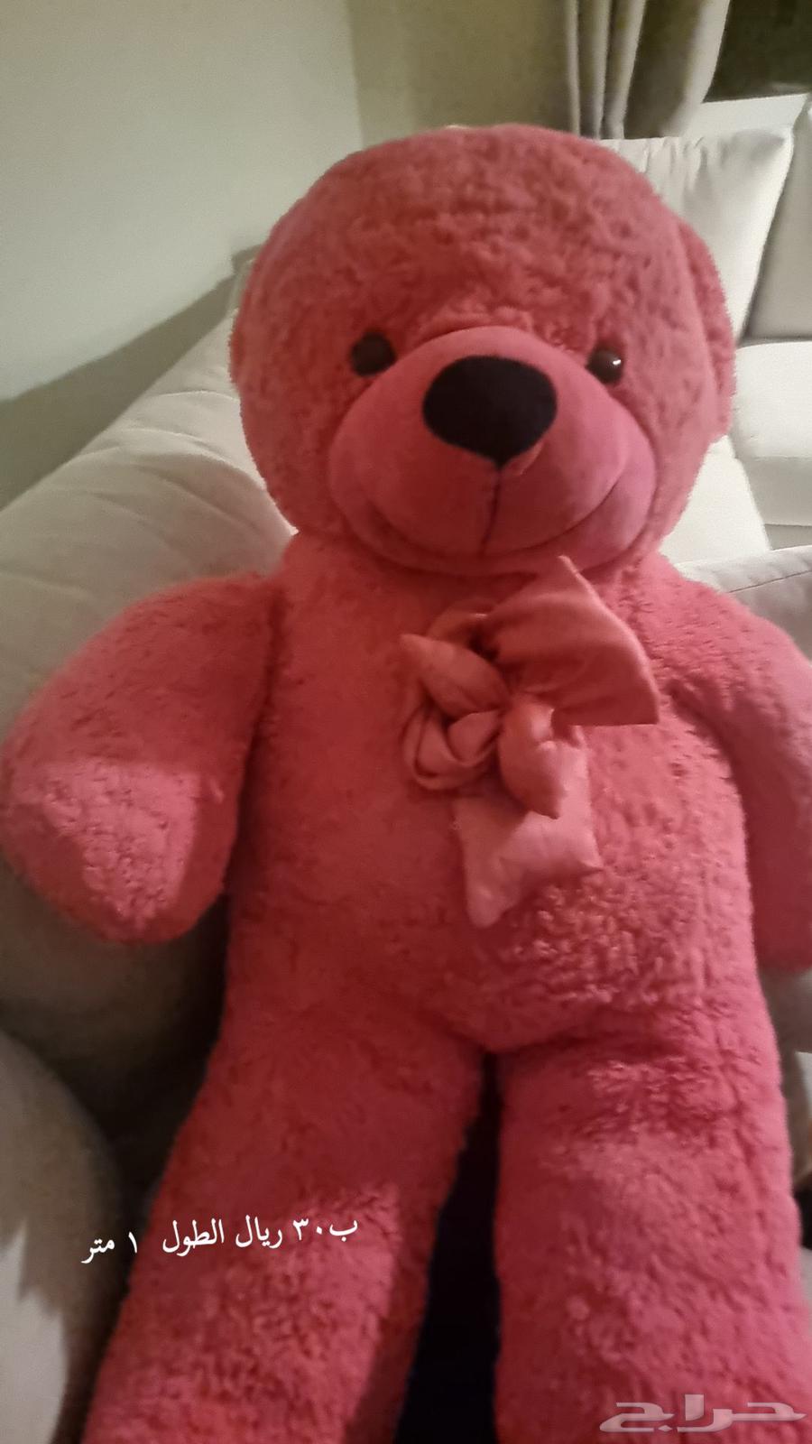 مجموعة دببه للبيع بحاله ممتازه64463020002177110