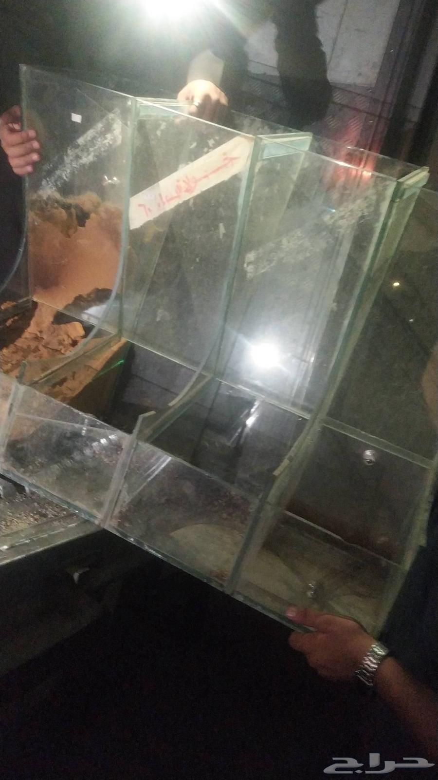 For sale, decoration for a nuts and spices shop, contact number64461925456515110