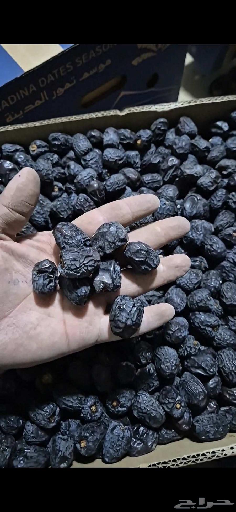 Ajwa and Sukkari Dates, New Clean Product64458795974915110