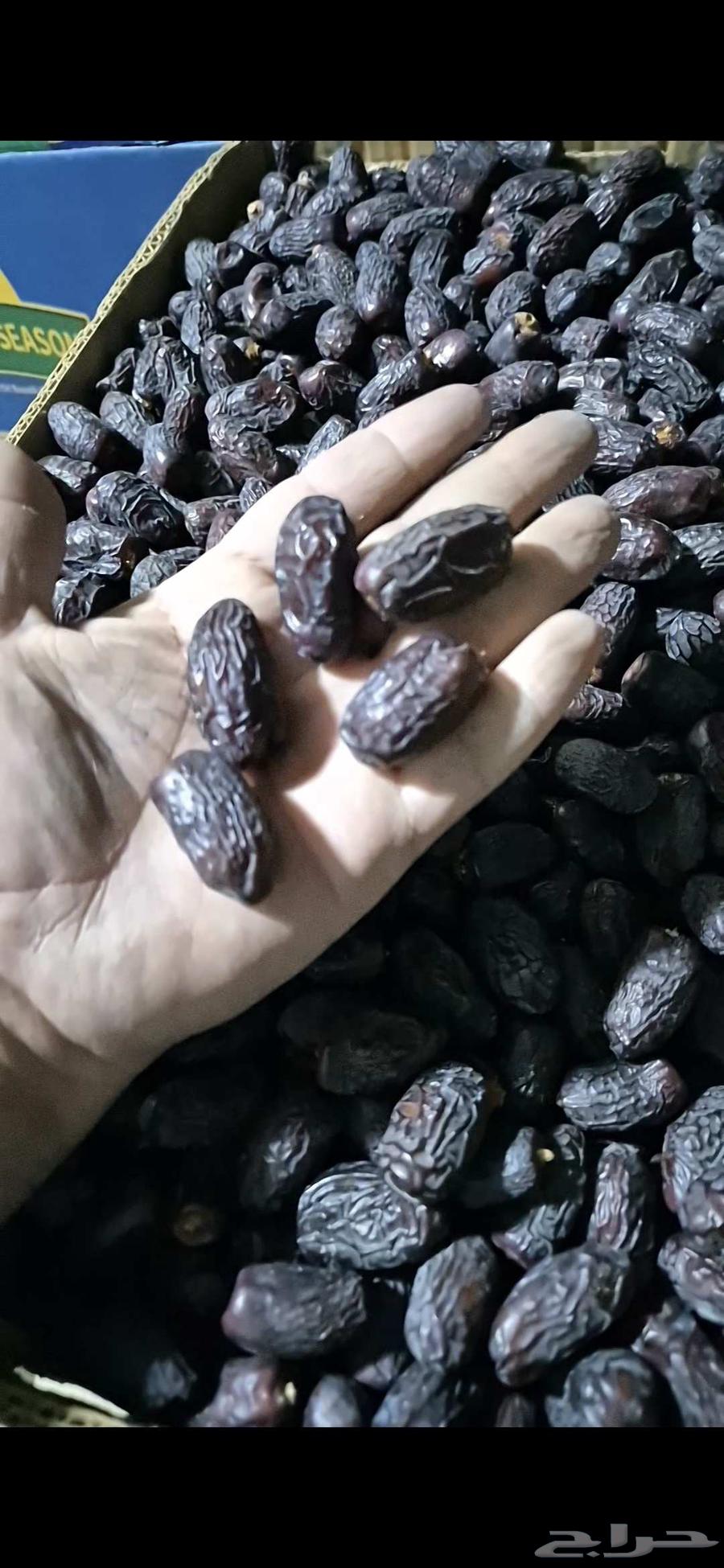 Ajwa and Sukkari Dates, New Clean Product64458795974915111