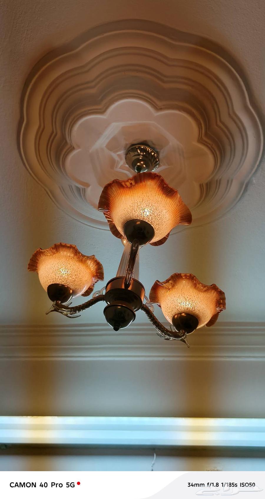 نجفات 10 للبيع64461718907906112