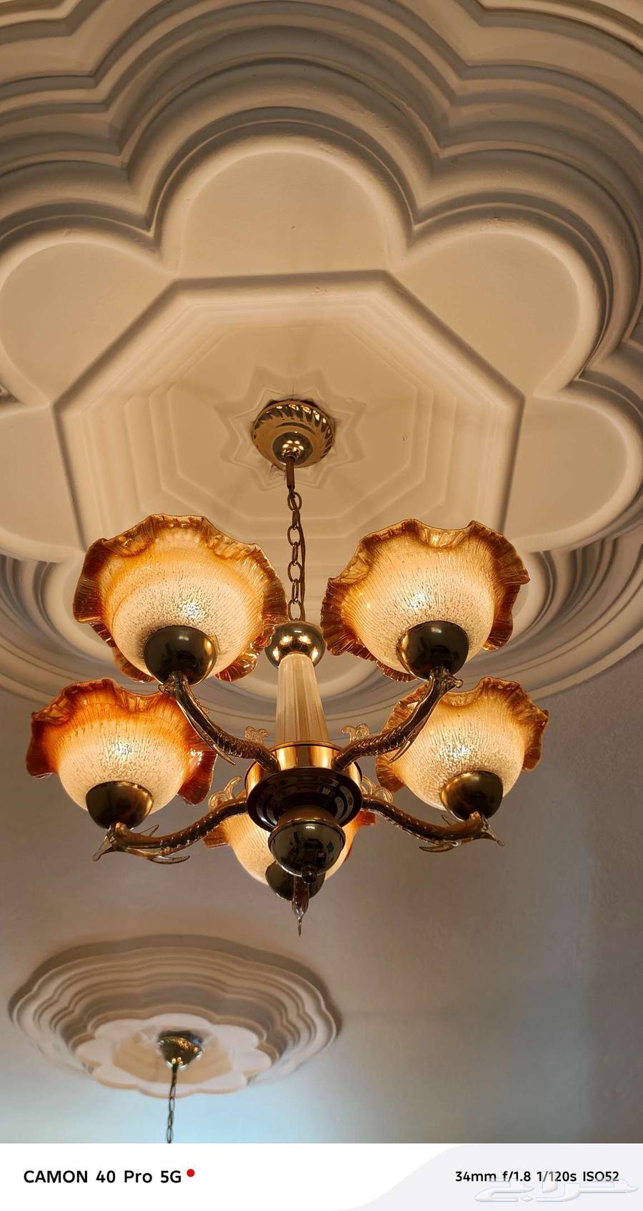 نجفات 10 للبيع64461718907906110