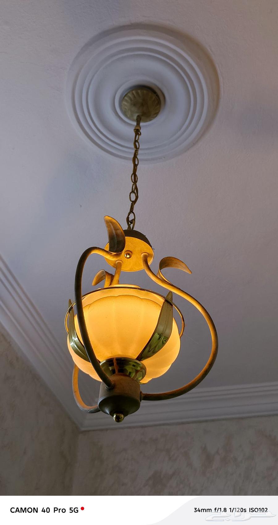 نجفات 10 للبيع64461718907906111