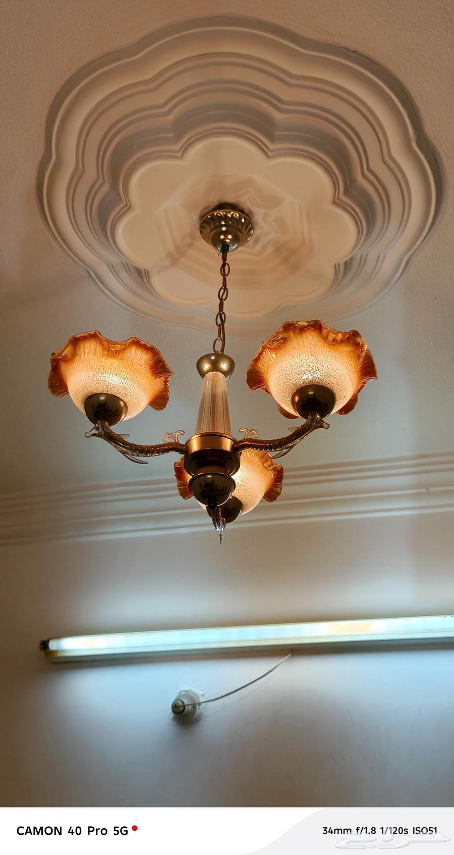 نجفات 10 للبيع64461718907906114