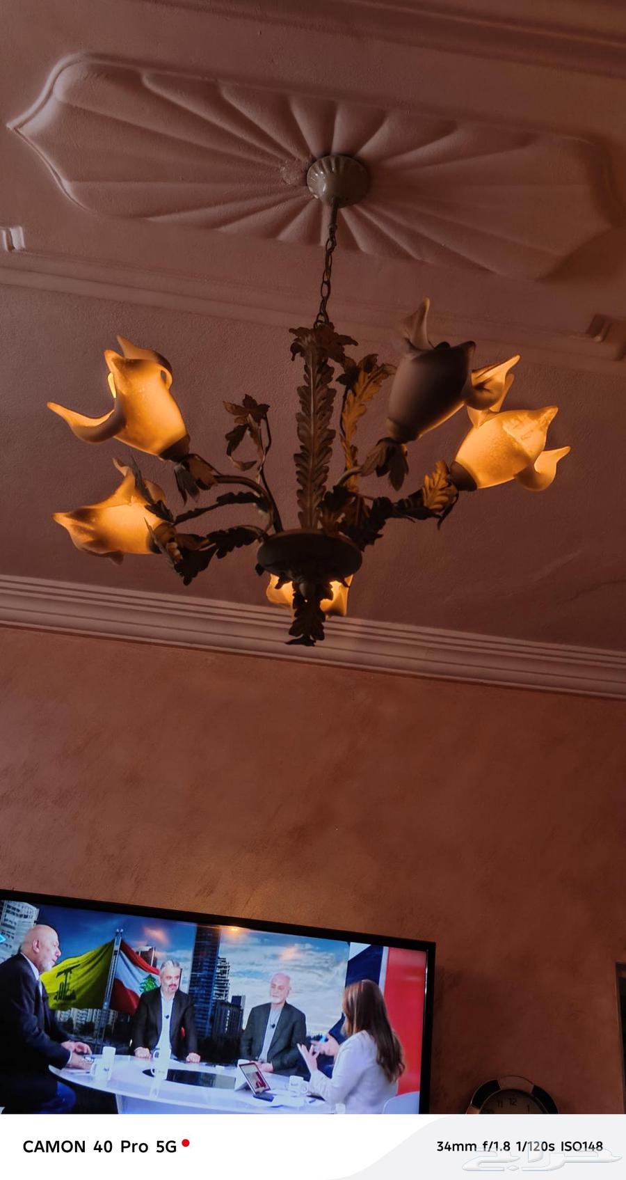 نجفات 10 للبيع64461718907906113