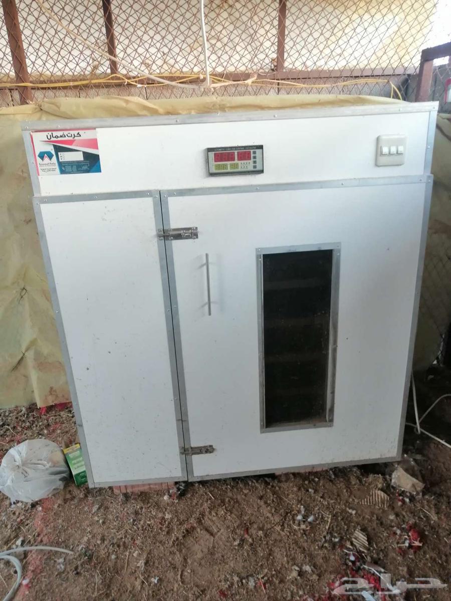 Egg incubator64464294688769112