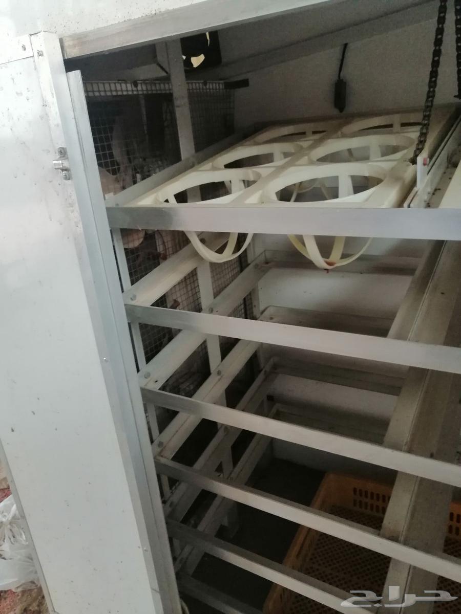 Egg incubator64464294688769111