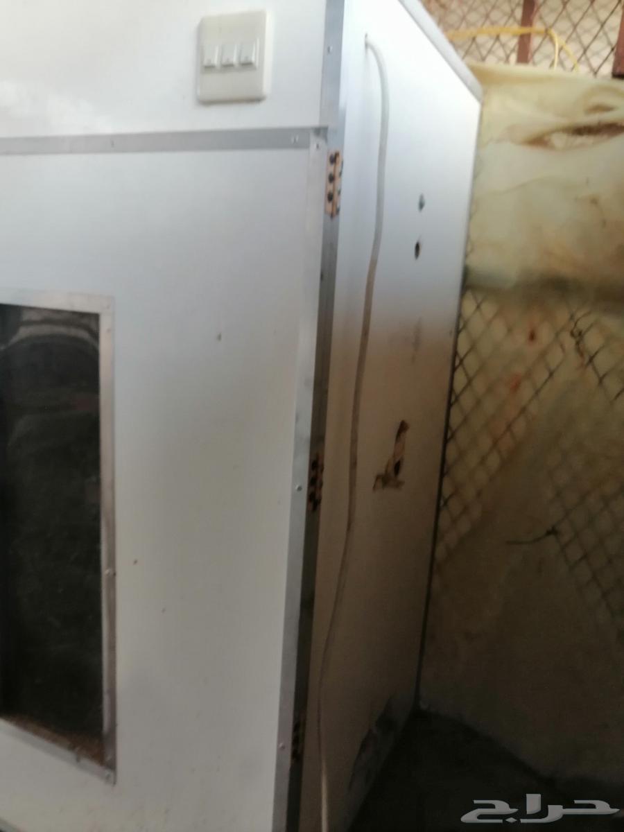 Egg incubator64464294688769114