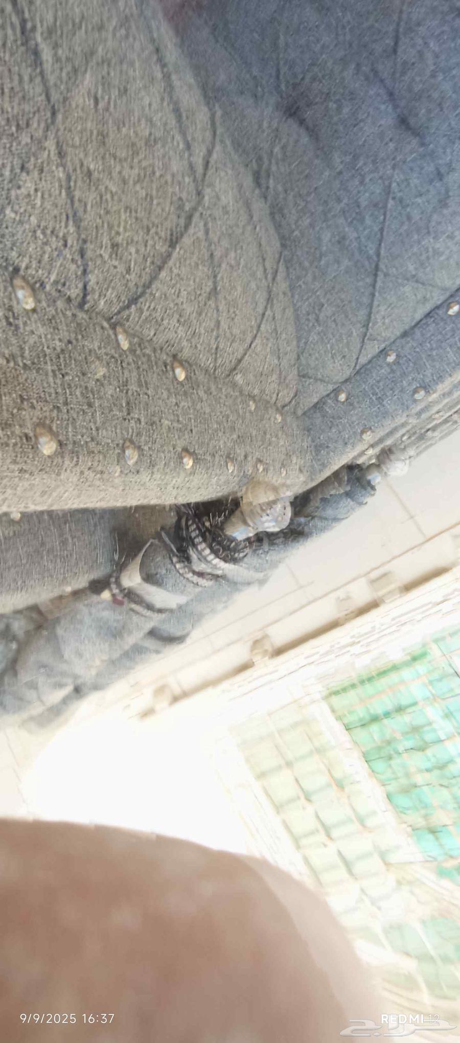 No selling back supports, cushions, and curtains.64461656950273111