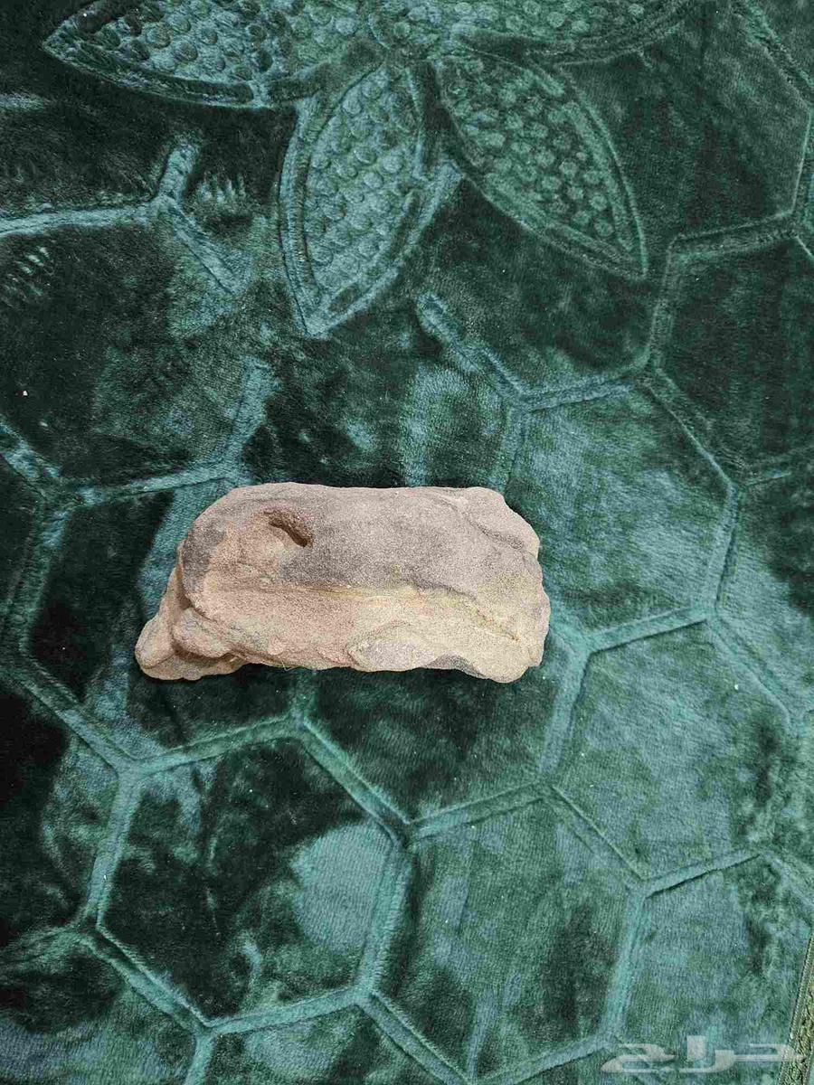 صخور نيازك أو صخور بركانية للبيع64459682722947114