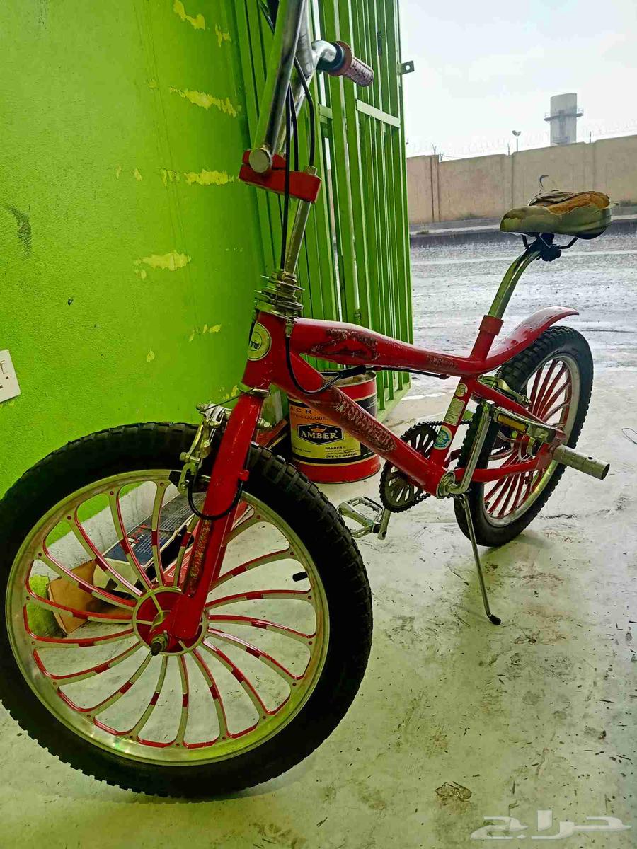 سيكل كوبرا نضيف64459498952579110