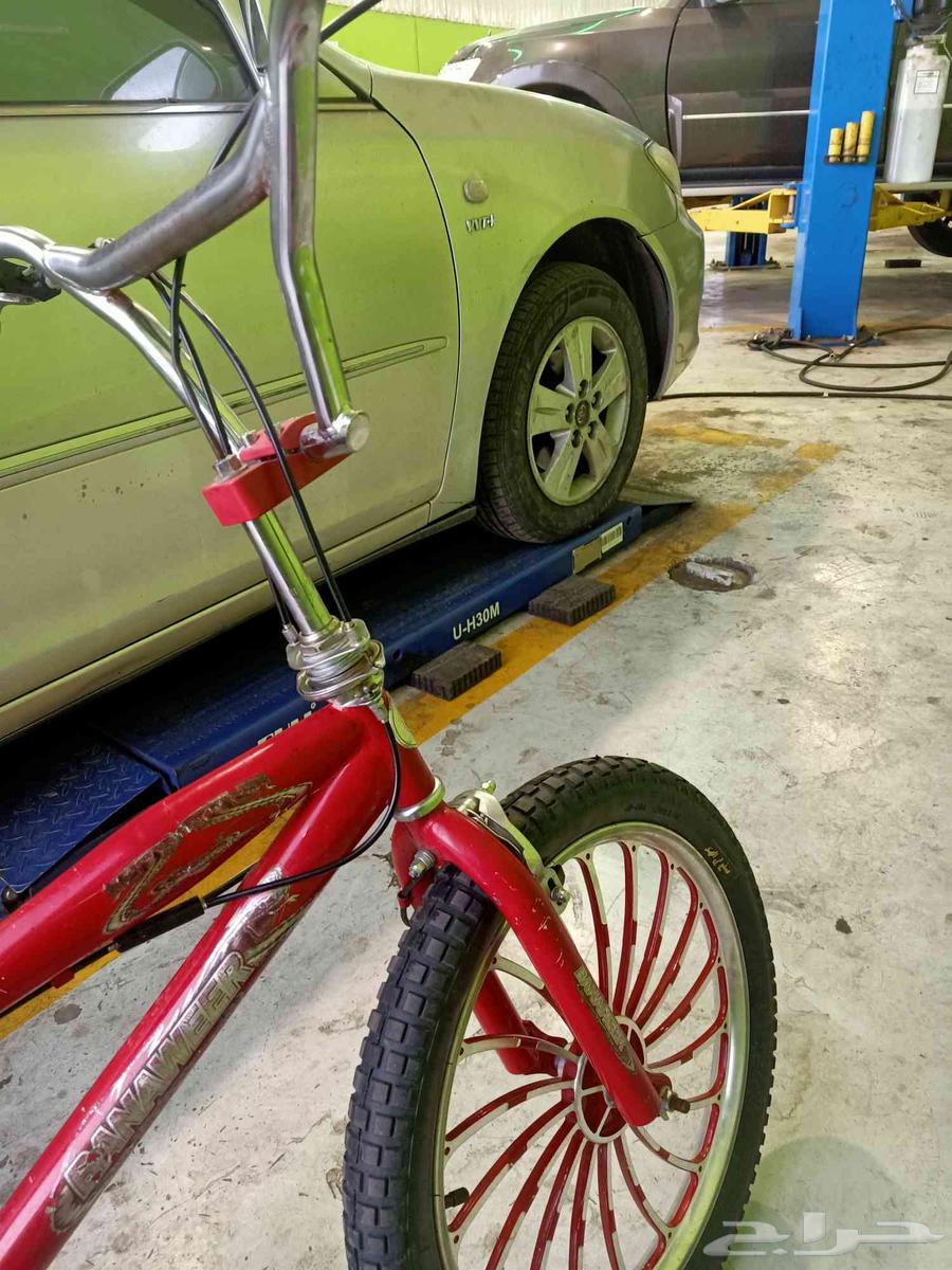 سيكل كوبرا نضيف64459498952579112