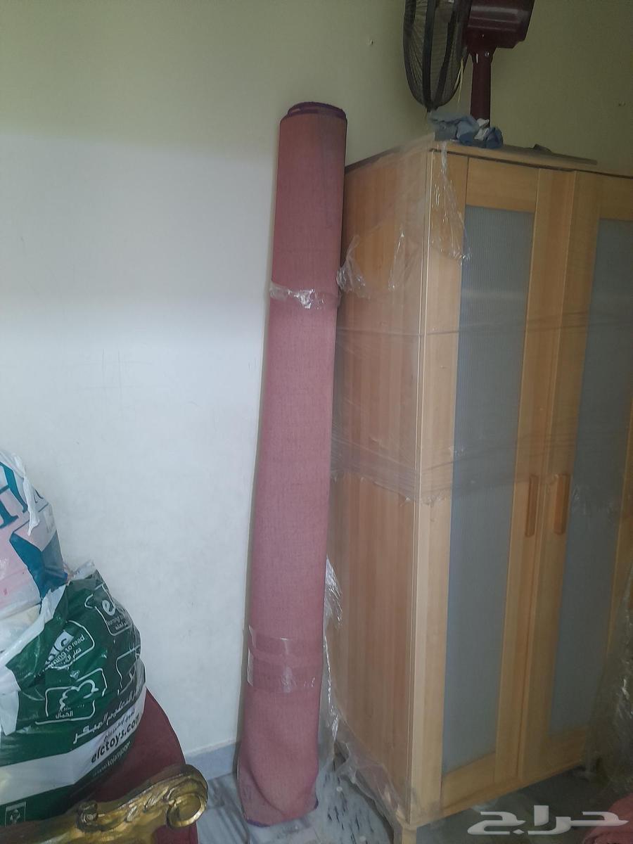 سجاد للبيع جديدة64460721098883113