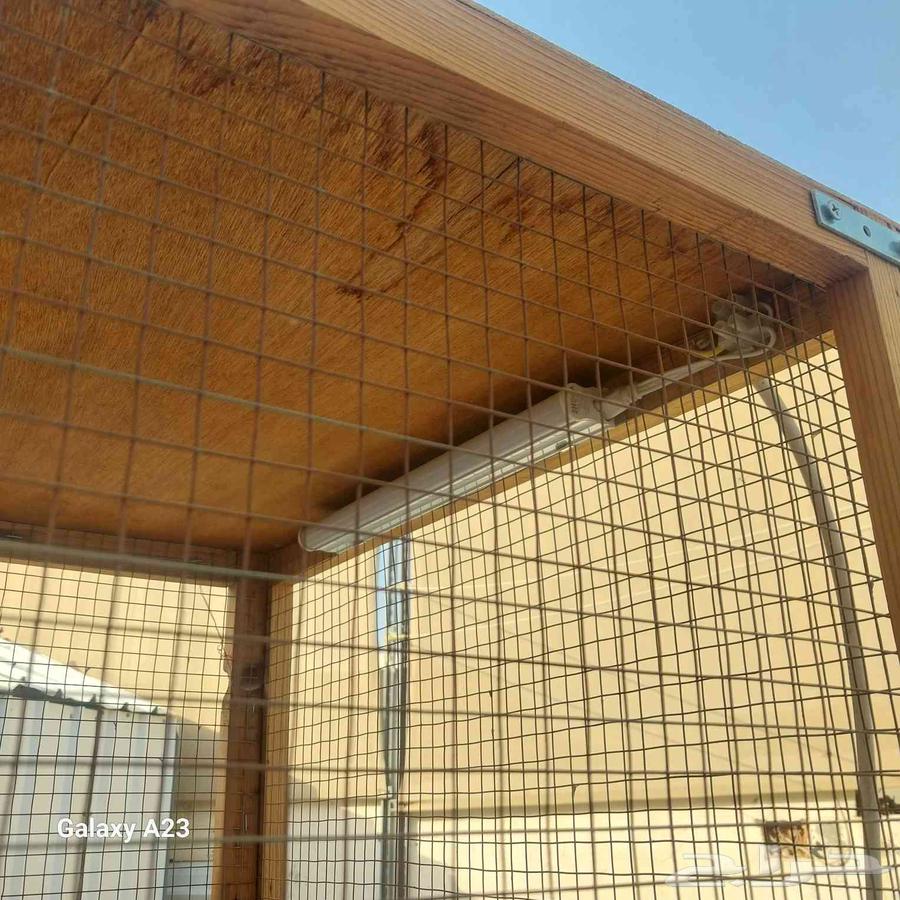 قفص انتاج طيور الحب64461357505794113