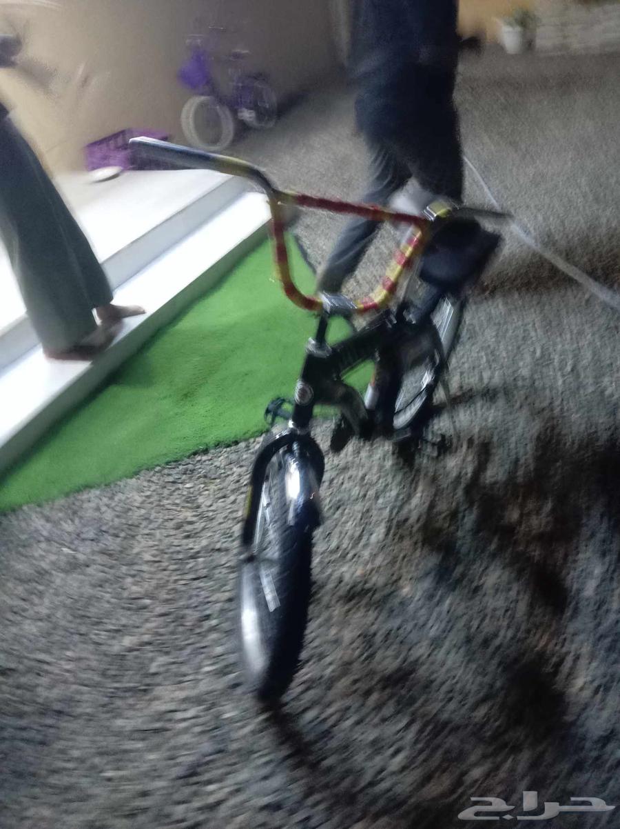 دراجه رامبو للبيع64462444268291113