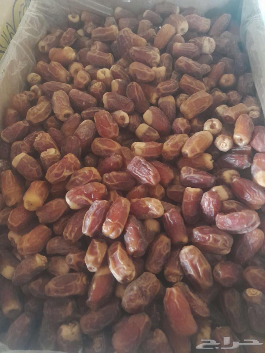 عندناتمر صقعي للبيع صقعي رطب صقعي ناشف صقعي مبروم64459245215875112