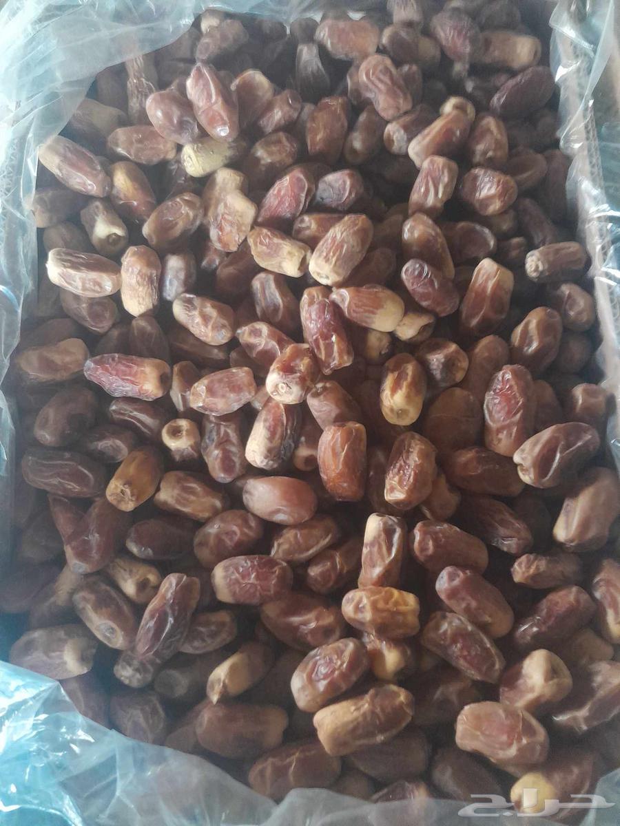 عندناتمر صقعي للبيع صقعي رطب صقعي ناشف صقعي مبروم64459245215875111