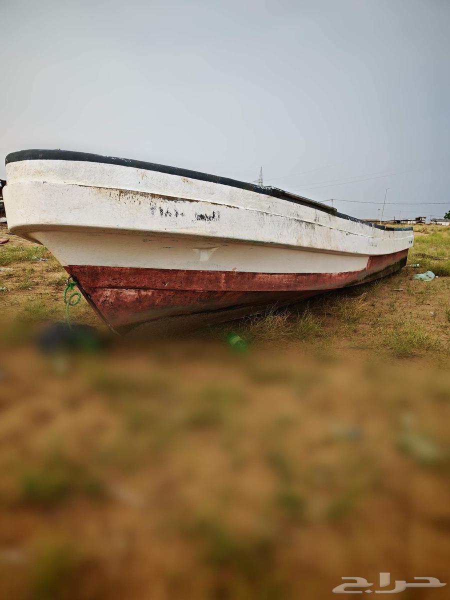 قارب للبيع64462705719298110