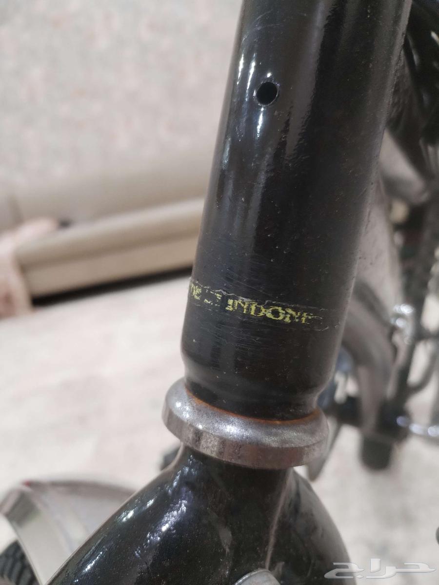 رامبو اندنوسي خابور اصلي للبيع موقعي بحره المجاهدين السوم وا64463060984323113