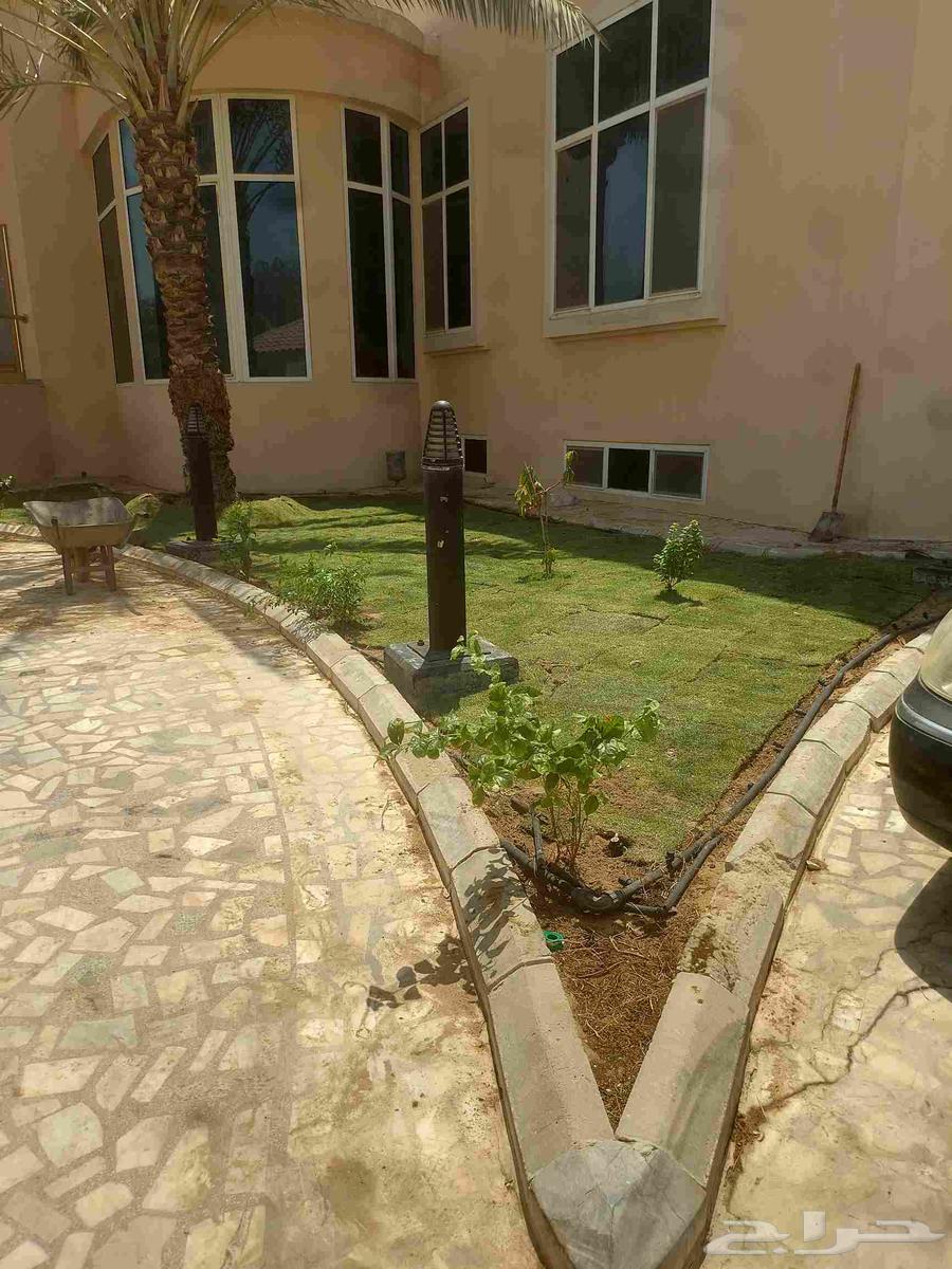 مشاتل الدمام مشاتل تنسيق حدائق تيل طبيعي64462910169602113