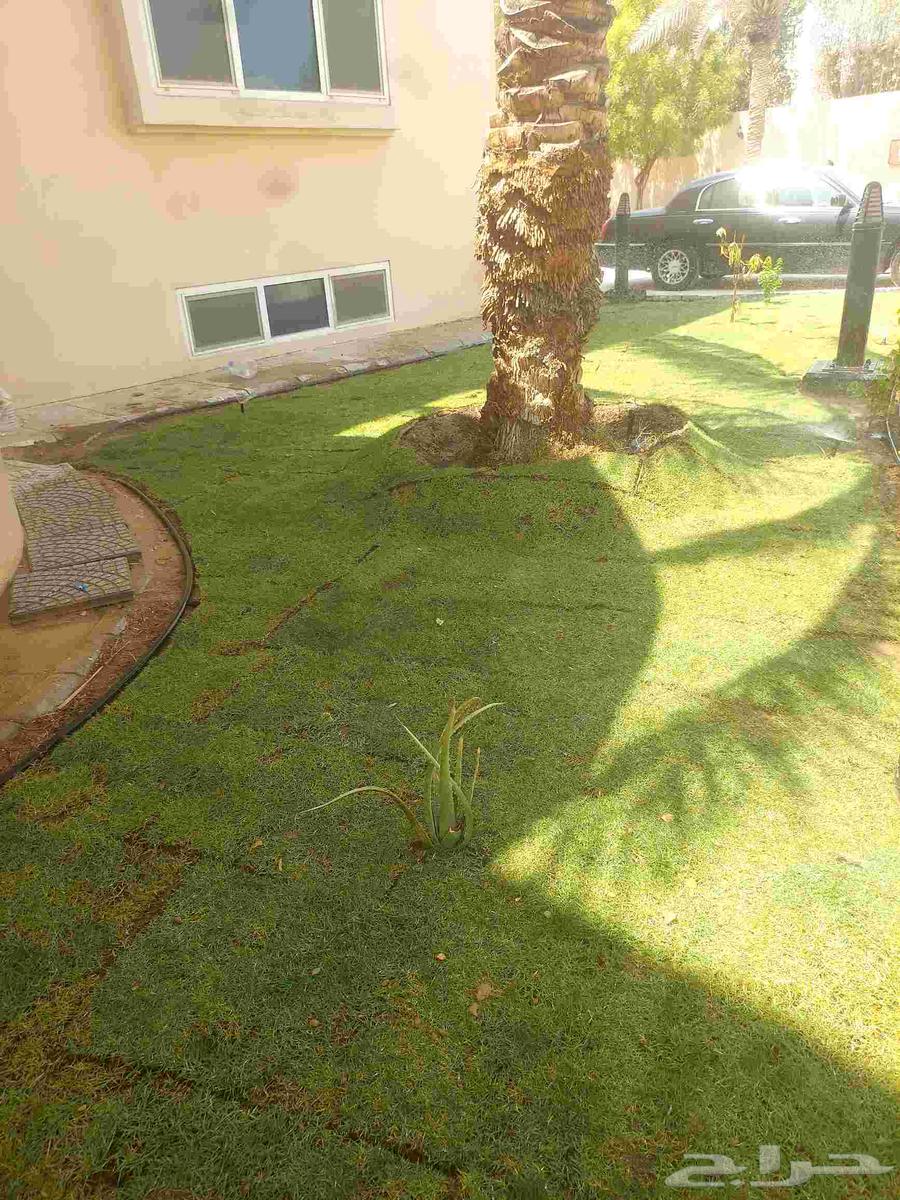 مشاتل الدمام مشاتل تنسيق حدائق تيل طبيعي64462910169602110