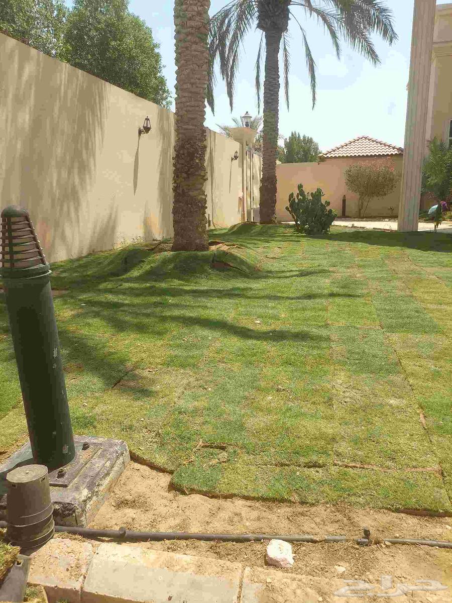 مشاتل الدمام مشاتل تنسيق حدائق تيل طبيعي64462910169602114
