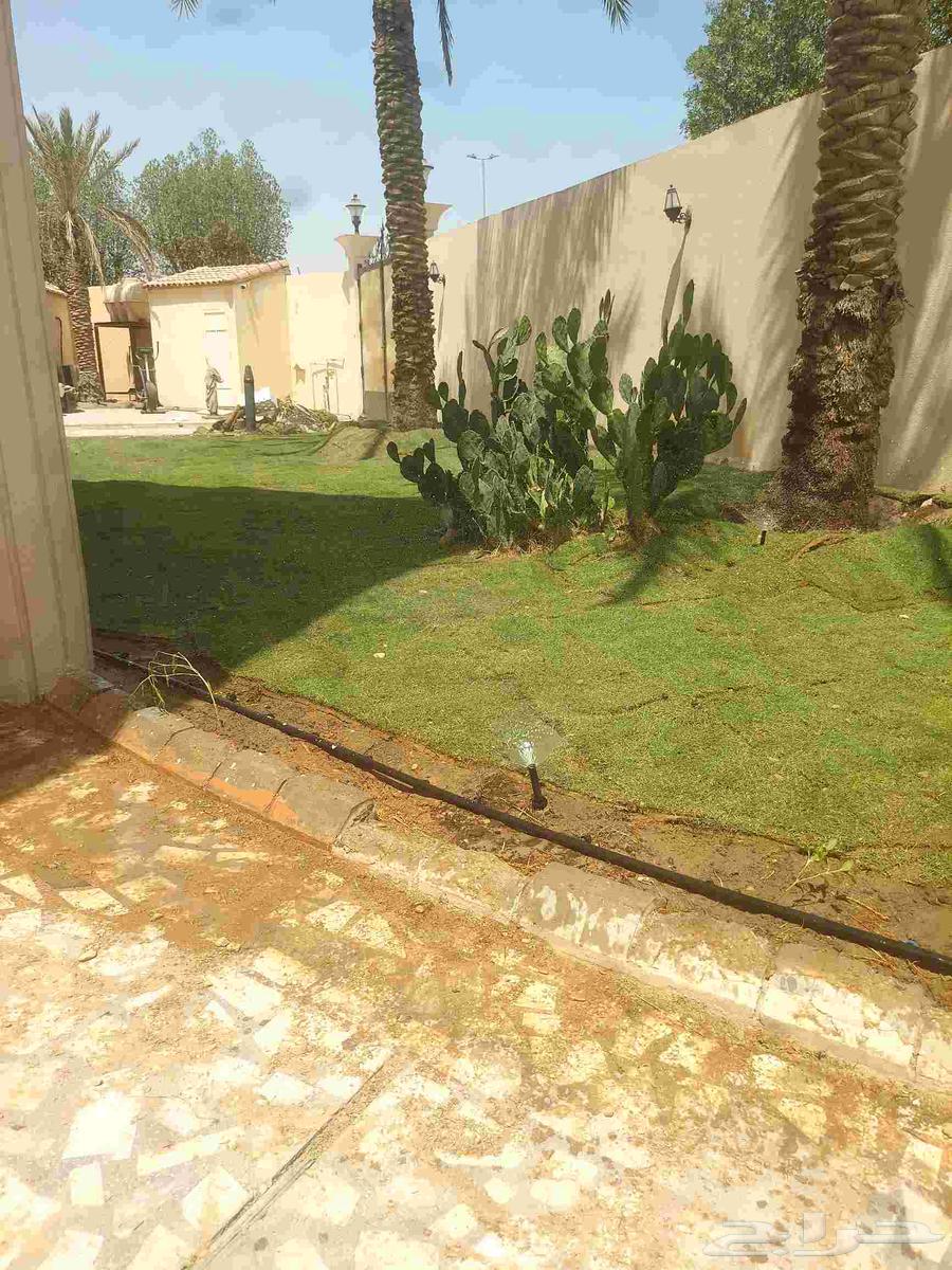 مشاتل الدمام مشاتل تنسيق حدائق تيل طبيعي64462910169602111