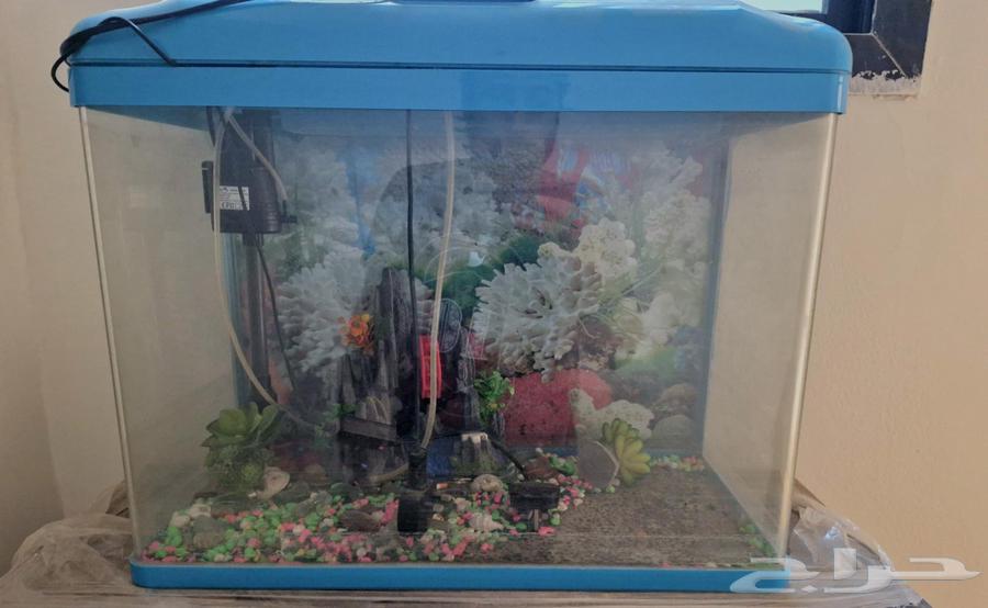 حوض سمك للبيع64461732535297110