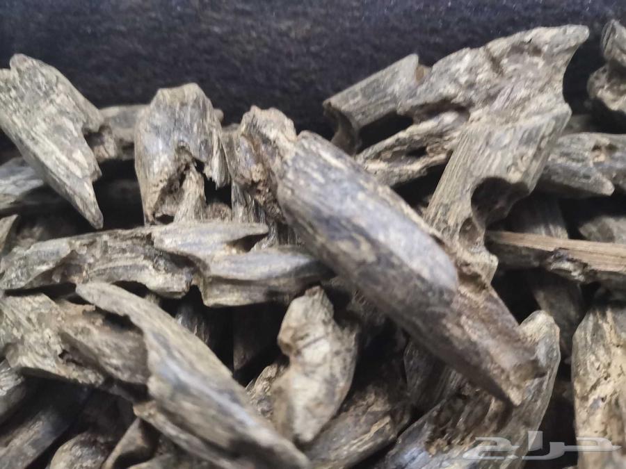 عود كلمنتان بنتلي محسن فاخر مناسب للمناسبات والمساجد64461403263491112