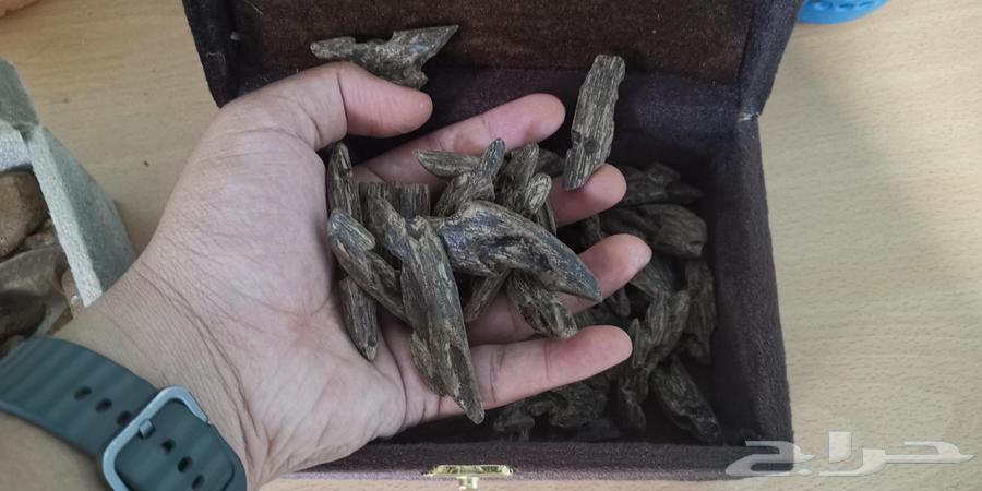 عود كلمنتان بنتلي محسن فاخر مناسب للمناسبات والمساجد64461403263491110