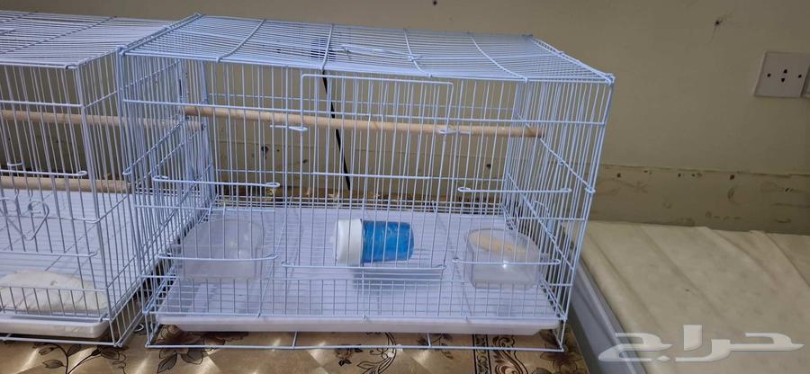 Cages64462403602434111