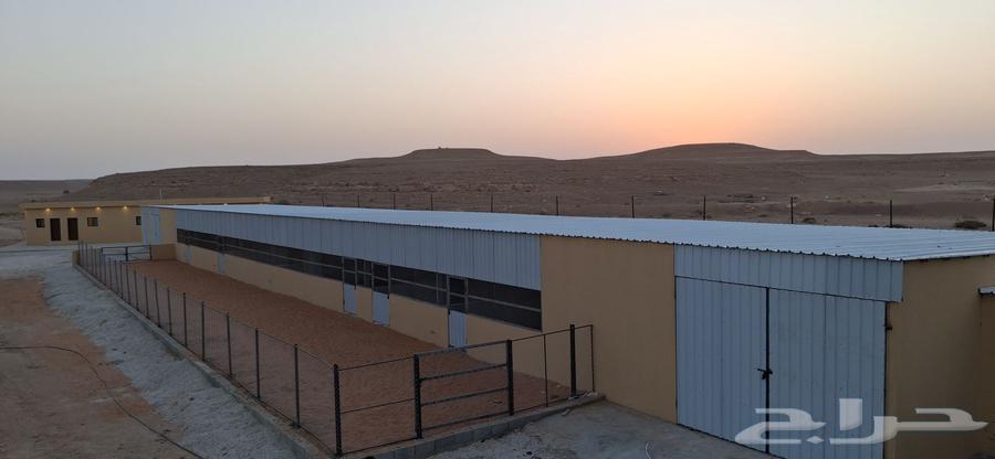 مقاول مزارع انواع الشغل نقوم بالتنفيذه64403916250883112