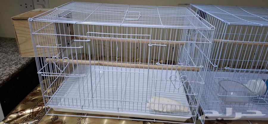 Cages64462403602434112