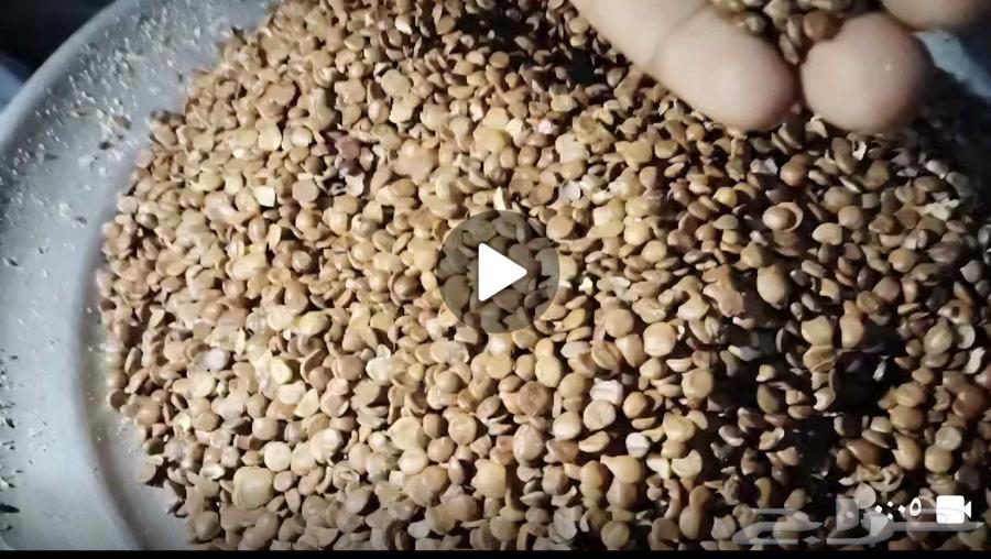 I have sidr honey, the quantity I have is large, selling by the kilo64459454122881111