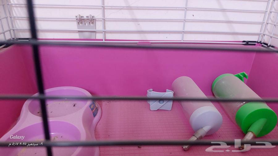 قفص أرنب للبيع64461450135555110