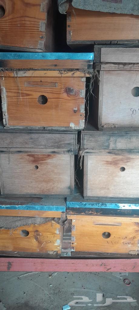 Clean used local and foreign bee hives, bee hive frames64460434693251112