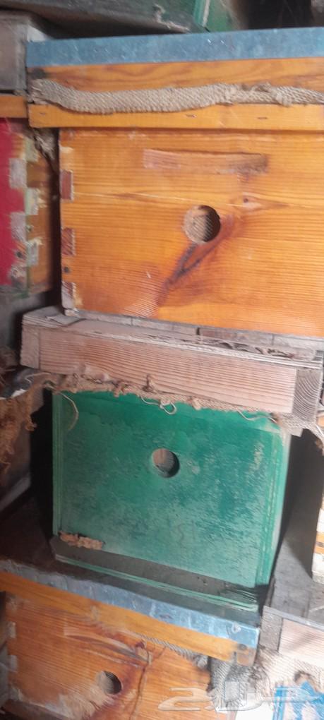 Clean used local and foreign bee hives, bee hive frames64460434693251113