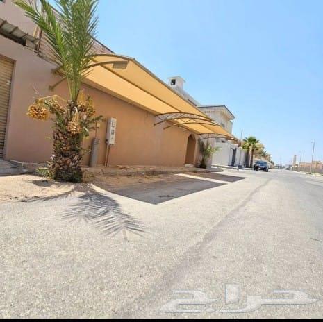 Shade Structures, Covers, and Eastern Decorations64525400573954114