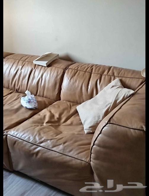 كنب جلد طبيعي من مفروشات الرقيب استخدام سنه64459290229761111