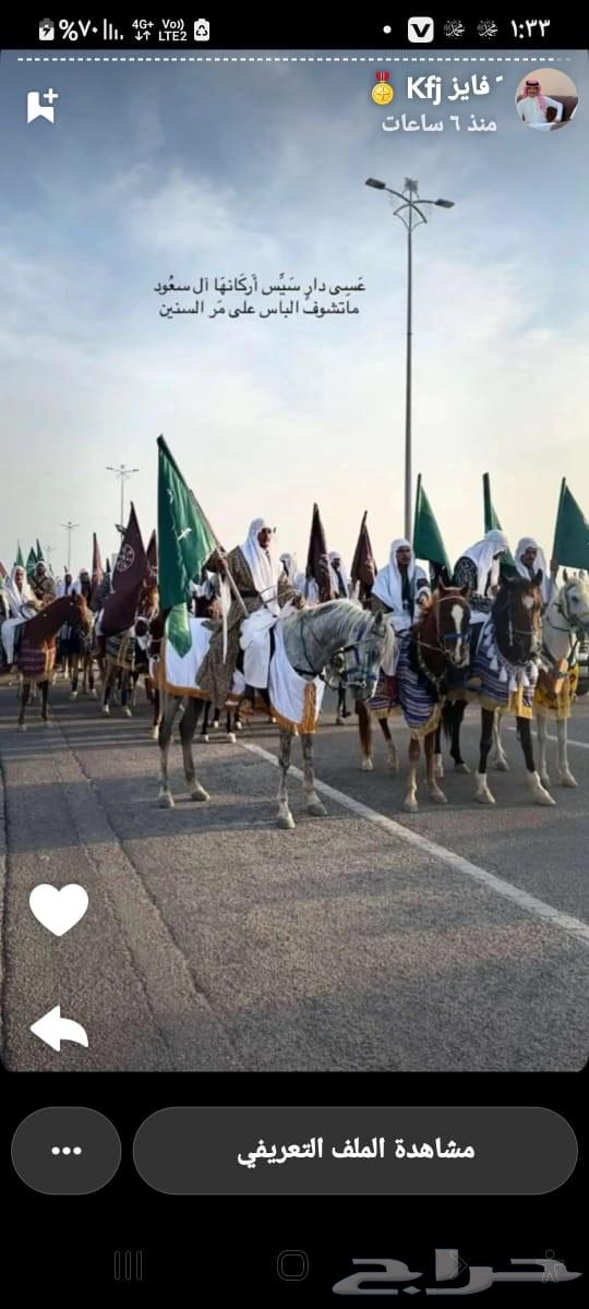 We offer horse, pony, and camel rentals for parties, National Day celebrations, and other events64463723828995112