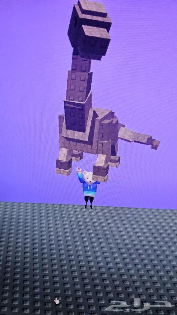 بروتوسورس او(ابو رقبه) ب3ريال64460133942403110