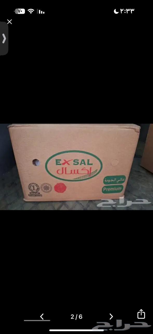 صدور دجاج فيليه64460024148355114