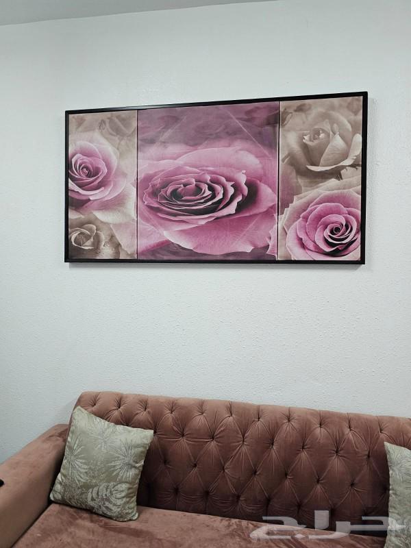 New condition majlis for sale in Al-Otaiq neighborhood, includes carpet, curtain, board, and 6 tables64458555143939113