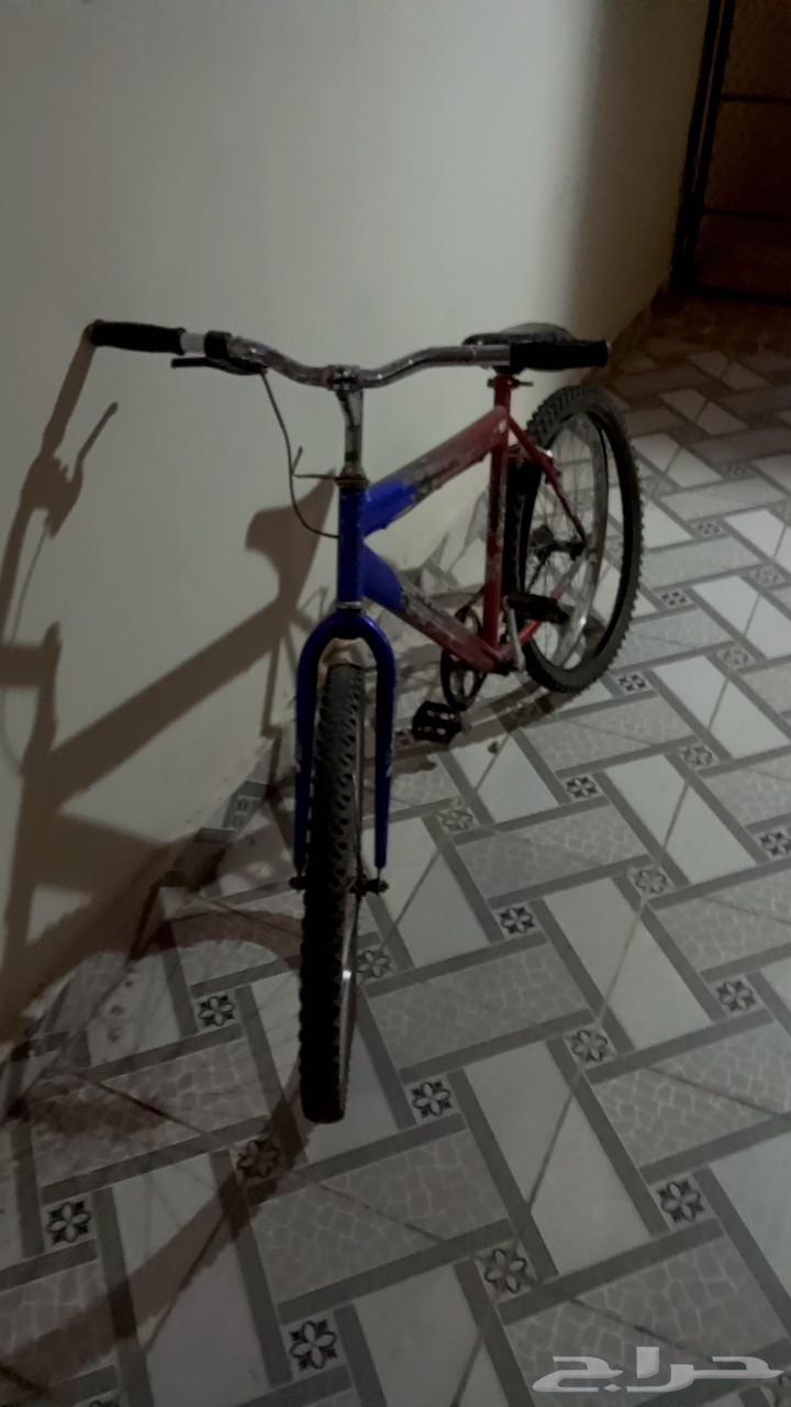 سيكل كوبرا مقاس 2464463019897731110